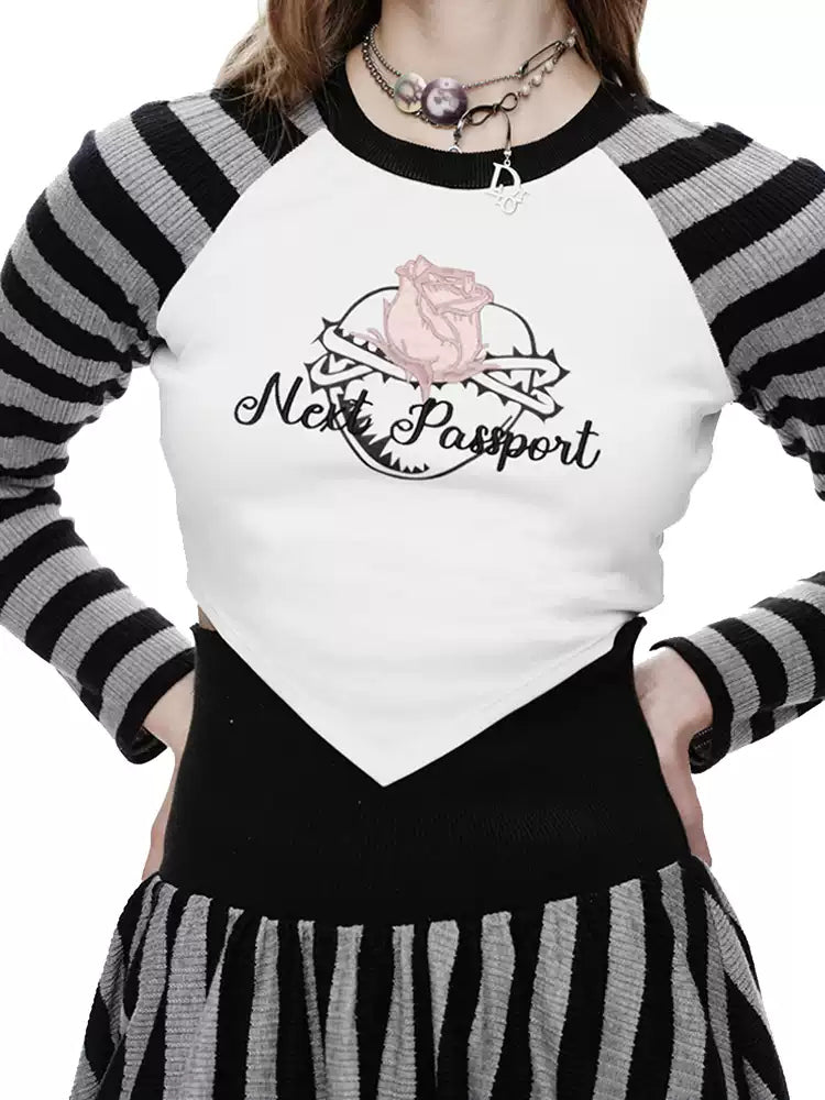 NEXT PASSPORT striped embroidered raglan crop top — embroidered chest detail