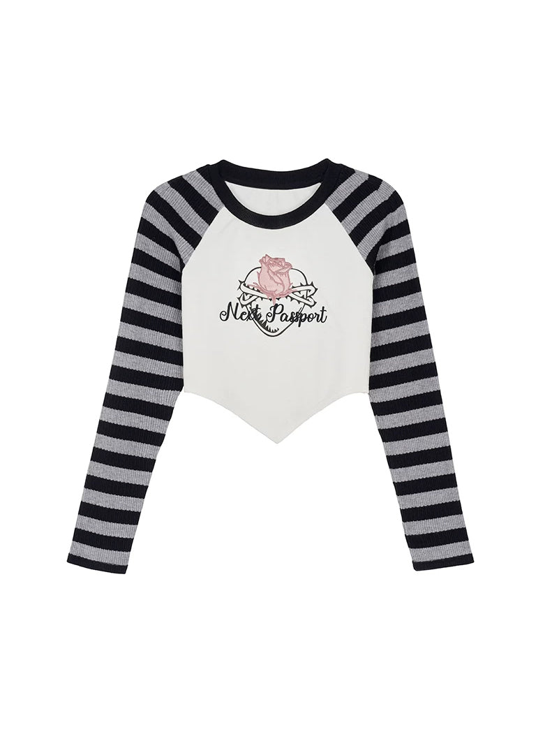 NEXT PASSPORT striped embroidered raglan crop top — khaki flat lay