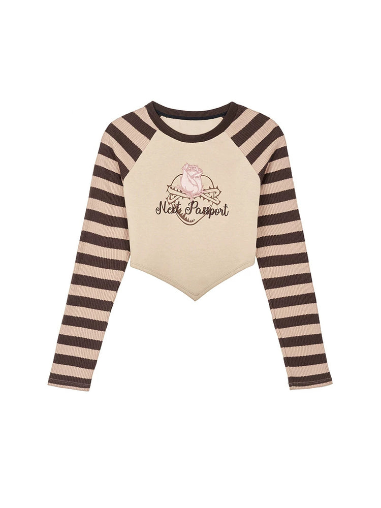 NEXT PASSPORT striped embroidered raglan crop top — black-gray embroidered crop top flat lay