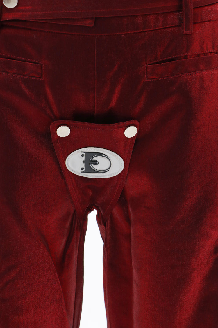 EMBRYO FIVE POISONS color-shift low-rise pants — rear modeled view
