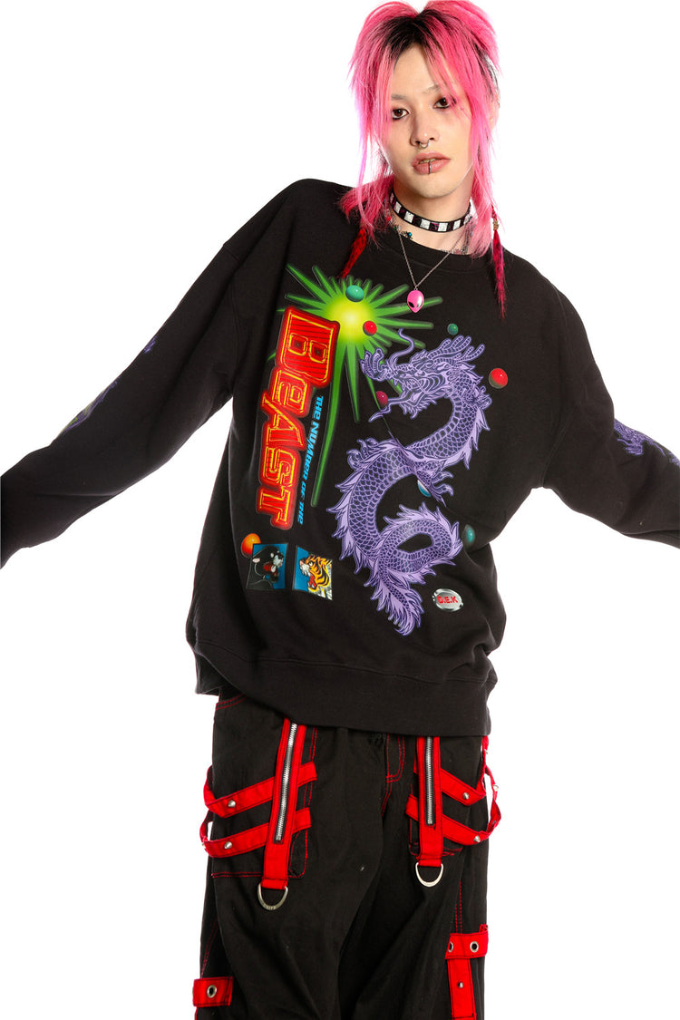 DEADENDKIDS DRAGON PUNK graphic sweatshirt — material and print detail